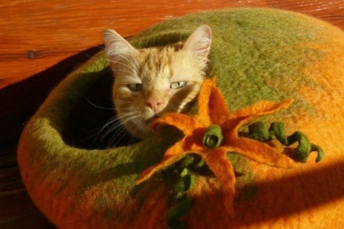 15 ідей для котячого помешкання