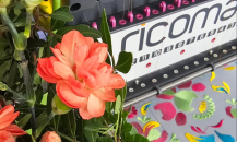 Машинна вишивка vs принт: порівняння технологій для бізнесу та індивідуальних замовлень