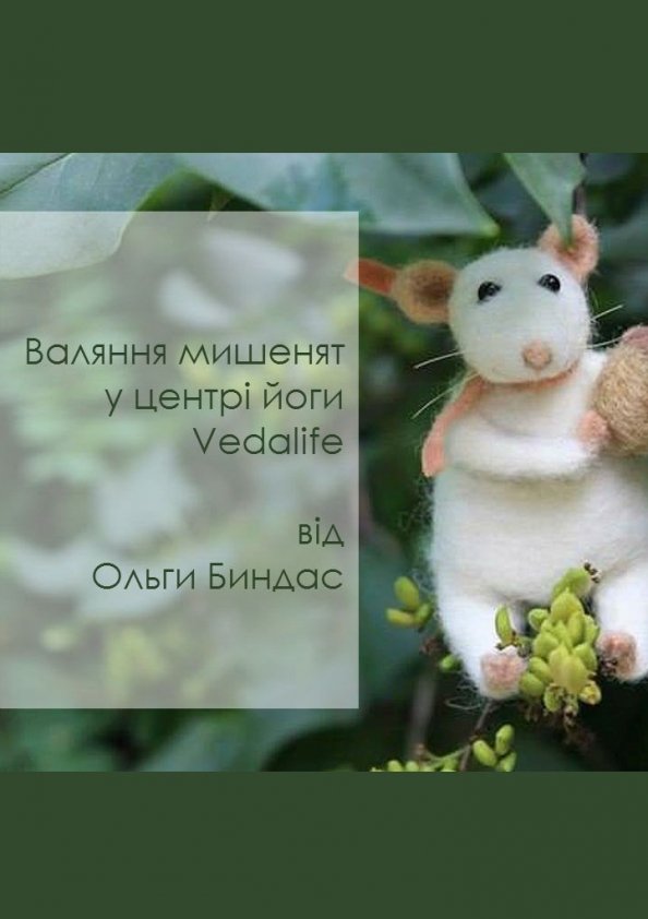 Валяння мишенят у центрі йоги Vedalife