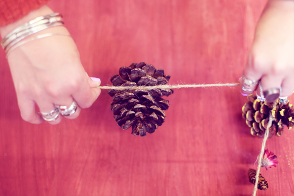 Pinecone-and-twine