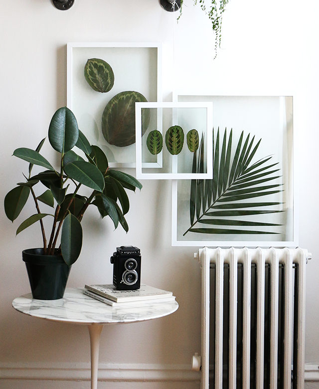 DIY-Pressed-Plants-640x780