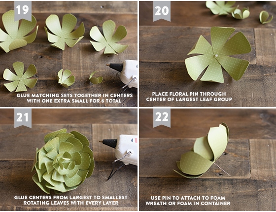 PaperSucculentTutorial