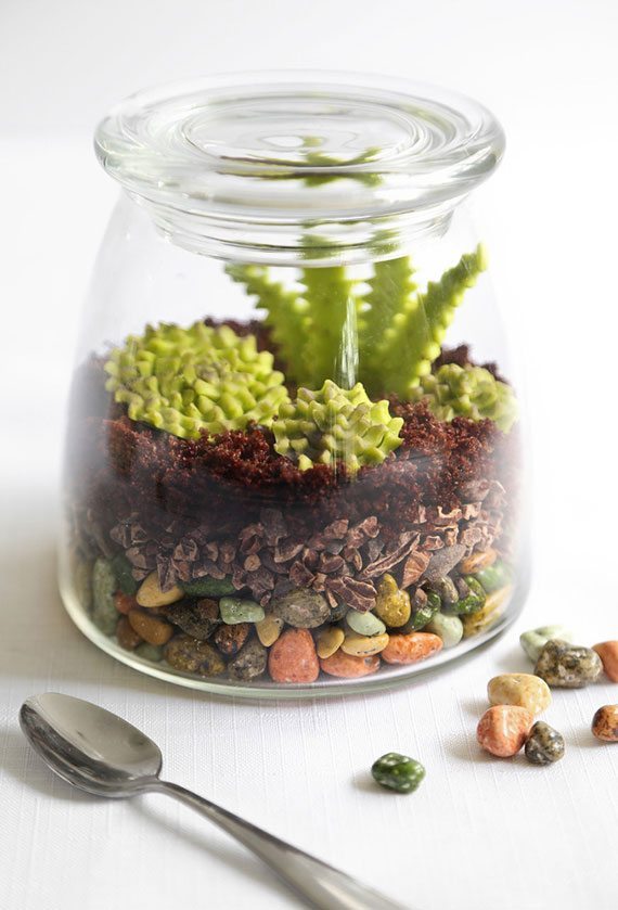 570_Chocolate-Terrarium-Pin-1