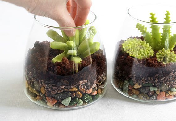 570_edible_terrariums_step_15-1