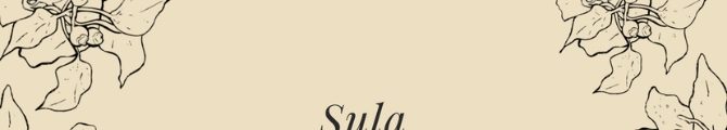 Магазин Sula