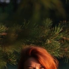 Коршун 
