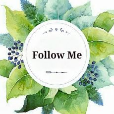 Майстер Follow