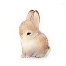 Майстер Angora dreams
