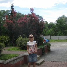 Майстер Елена