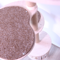 Мастер Олександр